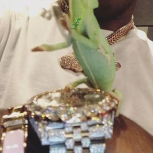 Meet your Posher, Armando